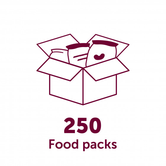 a graphic illustrating 250 food packs delivered in Yemen by HRF during Ramadan 2025